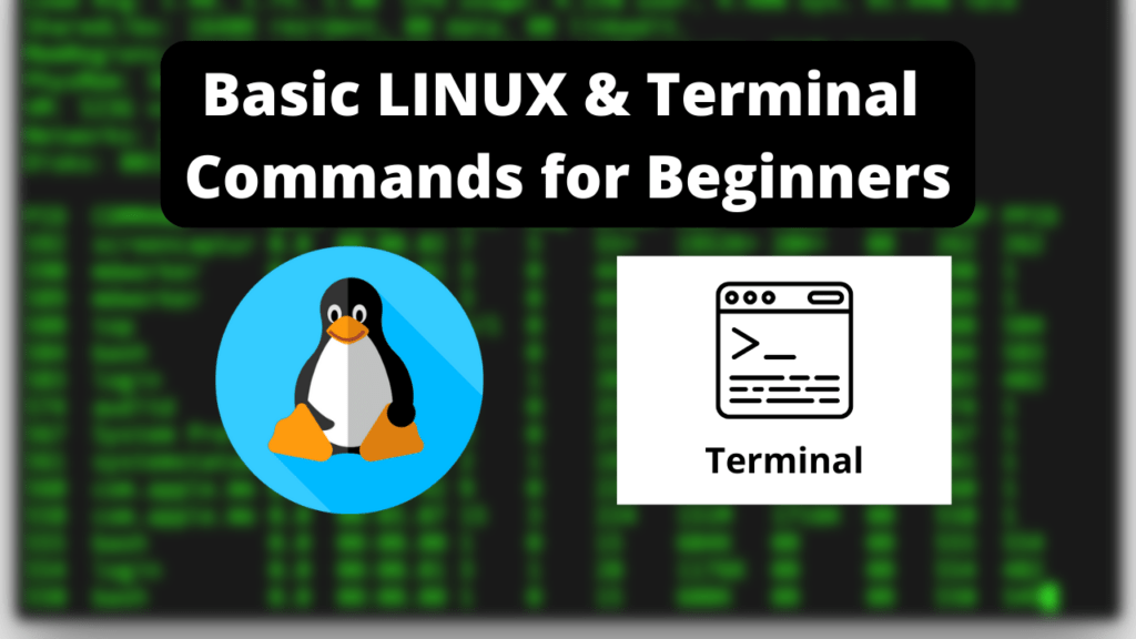 Basic LINUX & Terminal Commands For Beginners - Salow Studios